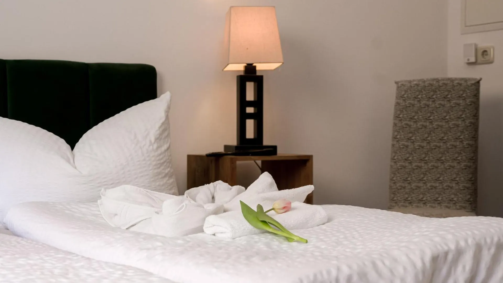 Pensionat Trobischhof Hotell Dresden Tyskland